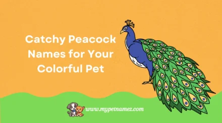 Catchy Peacock Names for Your Colorful Pet