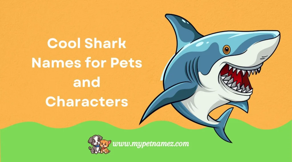 Cool Shark Names for Pets and Characters