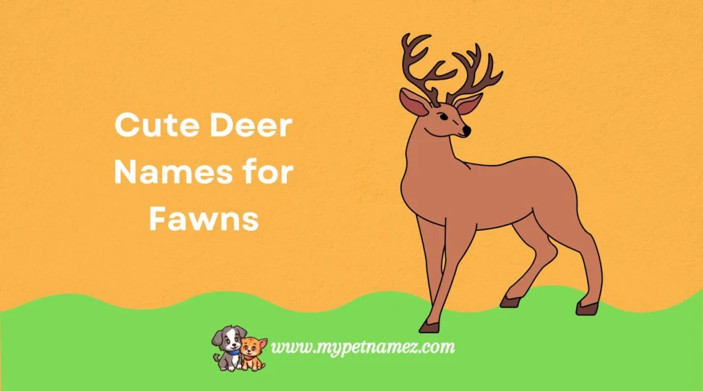 Cute Deer Names for Fawns