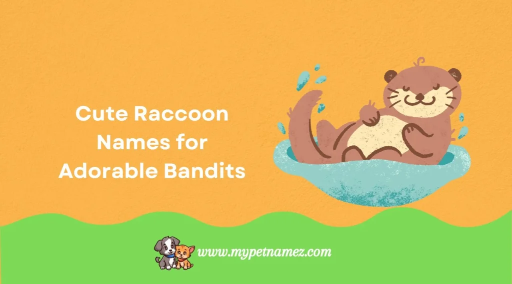 Cute Raccoon Names for Adorable Bandits
