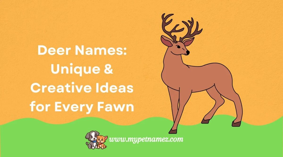 301+ Deer Names: Unique & Creative Ideas for Every Fawn