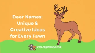 301+ Deer Names: Unique & Creative Ideas for Every Fawn