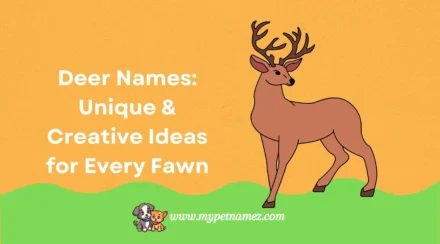 301+ Deer Names: Unique & Creative Ideas for Every Fawn