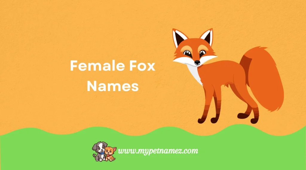 Female Fox Names
