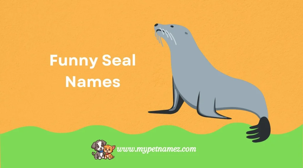 Funny Seal Names