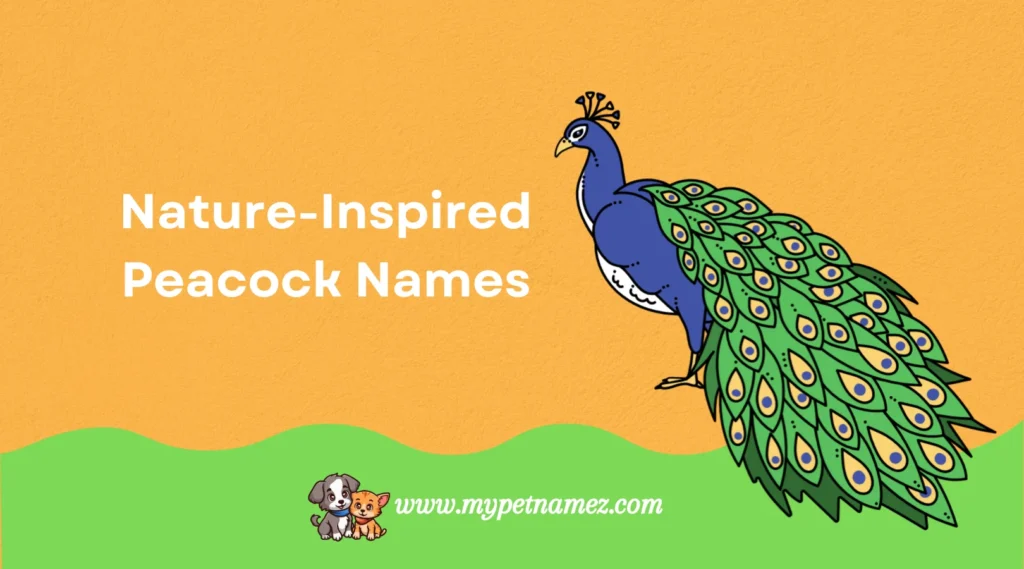 Nature-Inspired Peacock Names