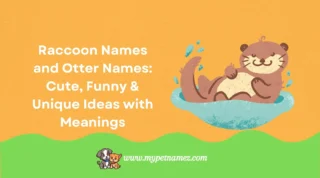 301 Raccoon Names and Otter Names: Cute, Funny & Unique Ideas with Meanings