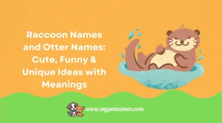 301 Raccoon Names and Otter Names: Cute, Funny & Unique Ideas with Meanings