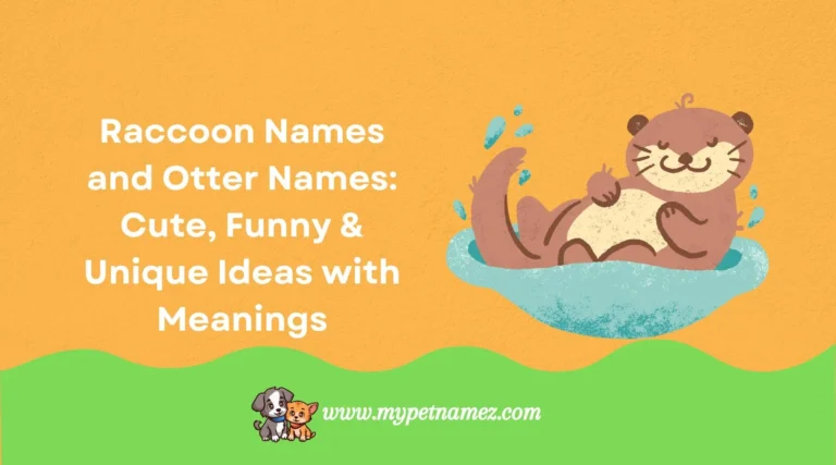 301 Raccoon Names and Otter Names: Cute, Funny & Unique Ideas with Meanings