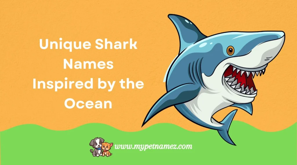 Unique Shark Names Inspired by the Ocean