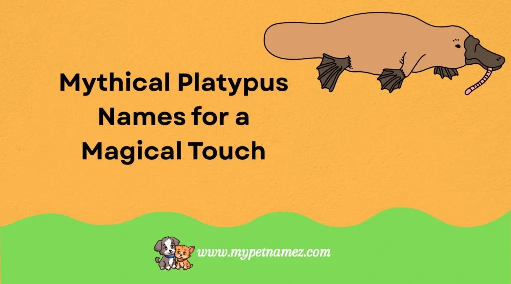 Mythical Platypus Names for a Magical Touch