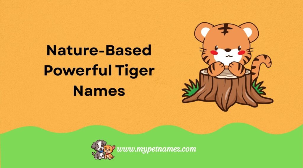  Nature-Based Powerful Tiger Names