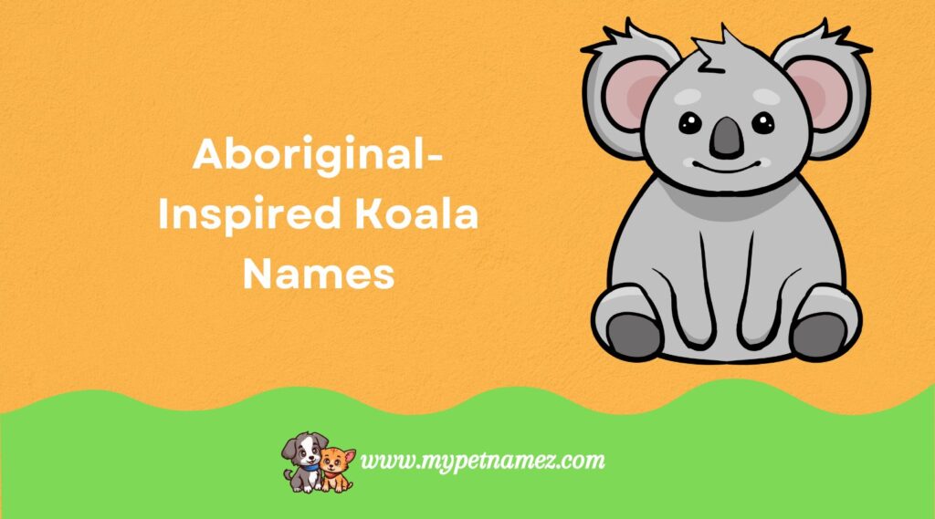 Aboriginal-Inspired Koala Names