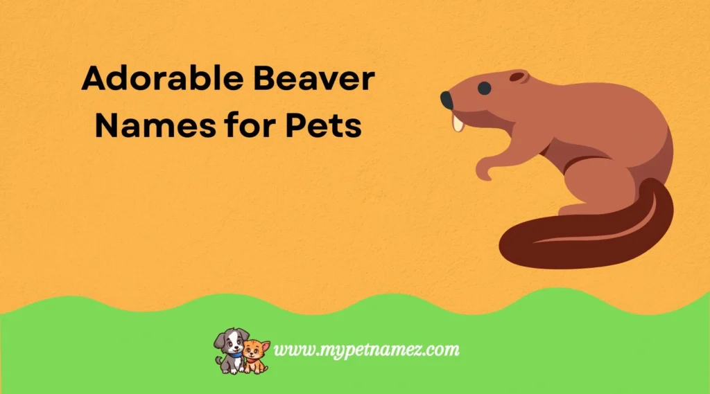 Adorable Beaver Names for Pets
