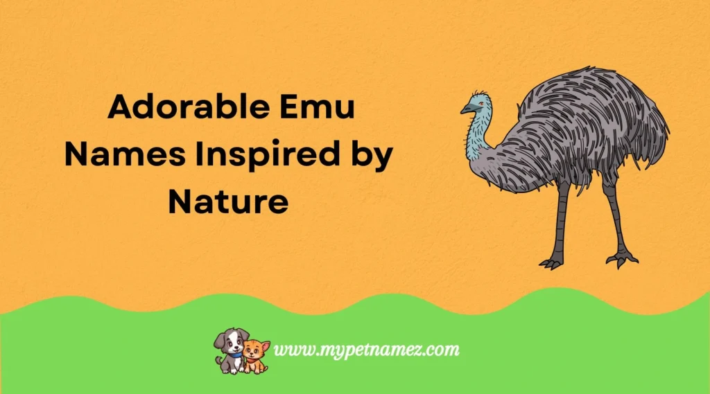  Adorable Emu Names Inspired by Nature