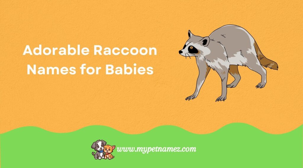 Adorable Raccoon Names for Babies
