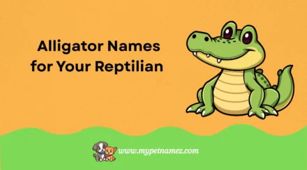 301 Best Alligator Names for Your Reptilian Companion!