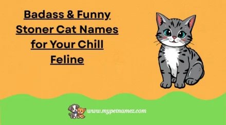 301 Badass & Funny Stoner Cat Names for Your Chill Feline