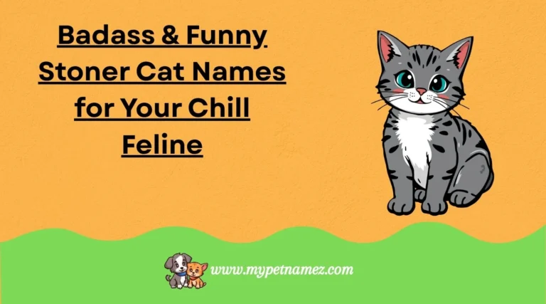 301 Badass & Funny Stoner Cat Names for Your Chill Feline