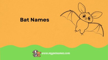 301 Unique and Mysterious Bat Names [Perfect Ideas]