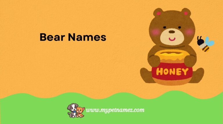 Catchy & Trendy Polar Bear Names [Perfect Ideas]
