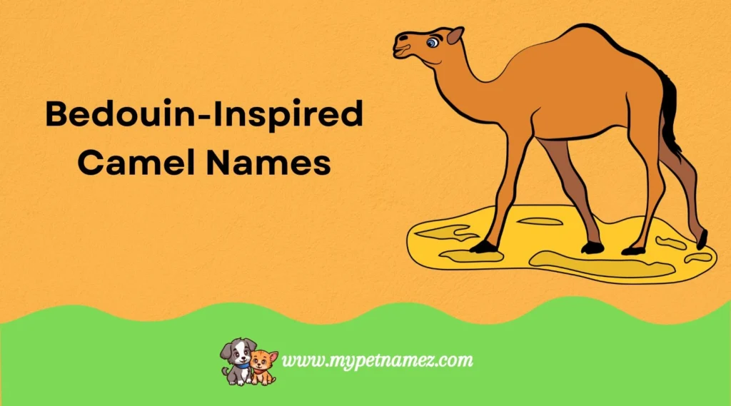 Bedouin-Inspired Camel Names