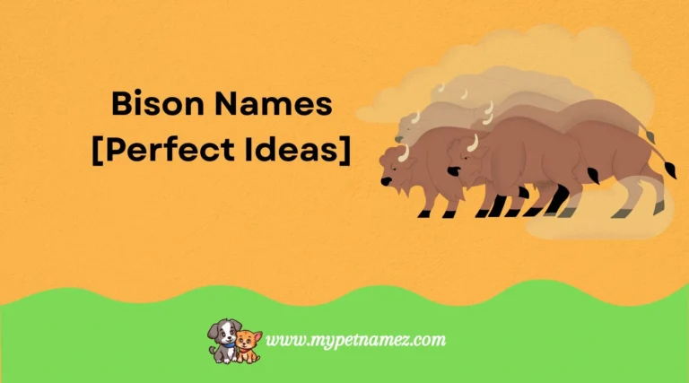 301 Badass & Powerful Bison Names [Perfect Ideas]