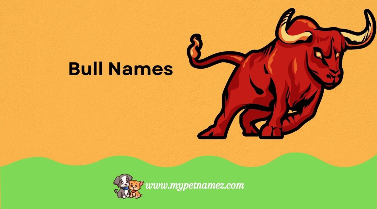 301 Best Bull Names: Strong, Funny, Classic, and Unique Ideas