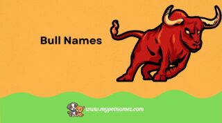 301 Best Bull Names: Strong, Funny, Classic, and Unique Ideas