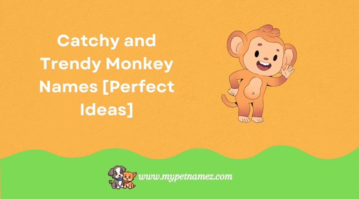 301 Catchy and Trendy Monkey Names [Perfect Ideas]