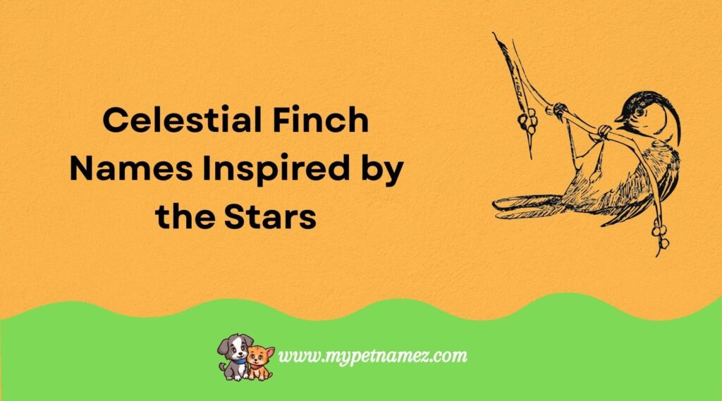 Celestial Finch Names Inspired by the Stars