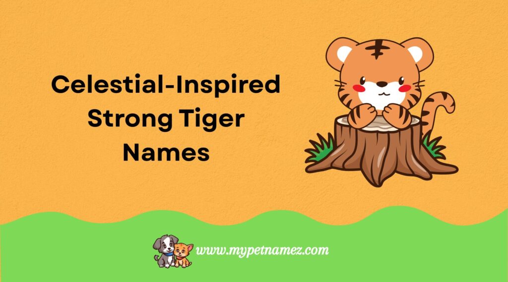 Celestial-Inspired Strong Tiger Names