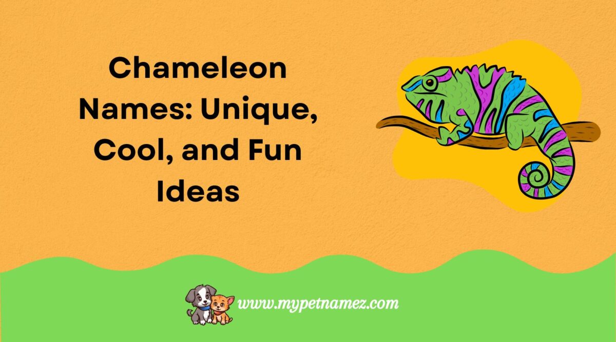 301 Chameleon Names: Unique, Cool, and Fun Ideas for Your Pet