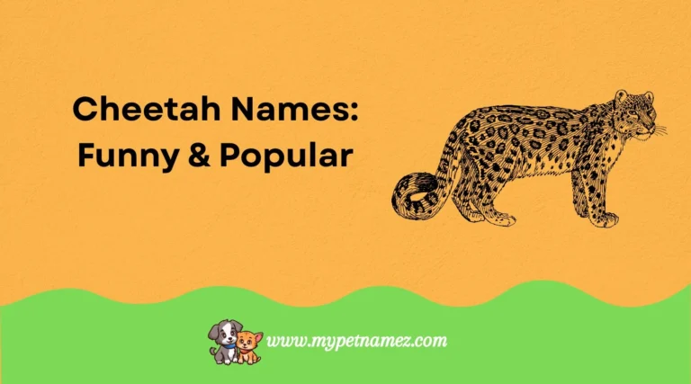 301 Cheetah Names: Funny & Popular Ideas [Perfect Picks]