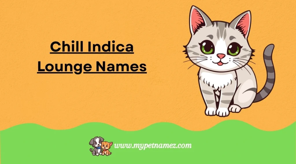 Chill Indica Lounge Names