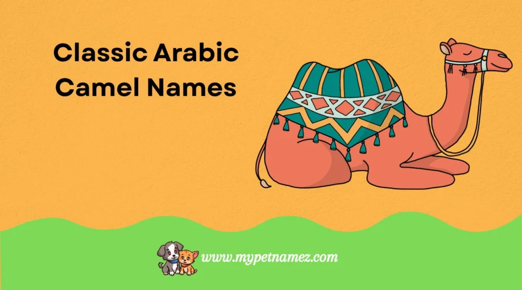 Classic Arabic Camel Names