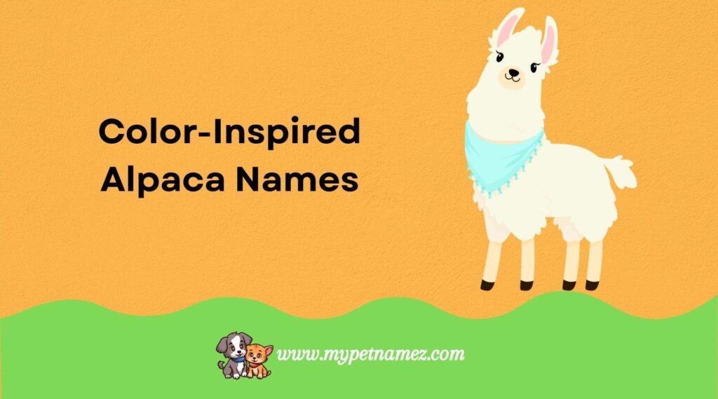 Color-Inspired Alpaca Names
