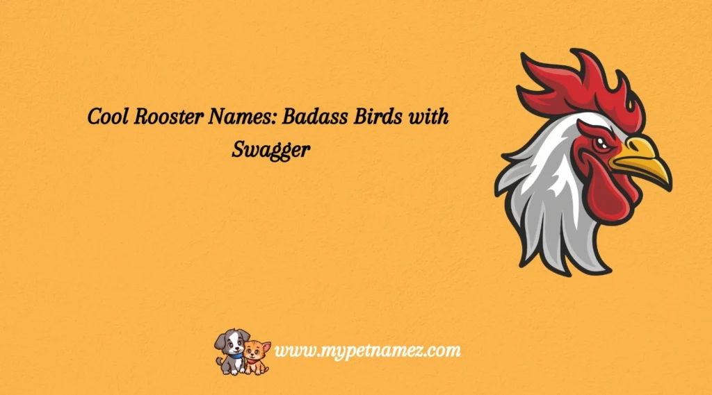 Cool Rooster Names: Badass Birds with Swagger