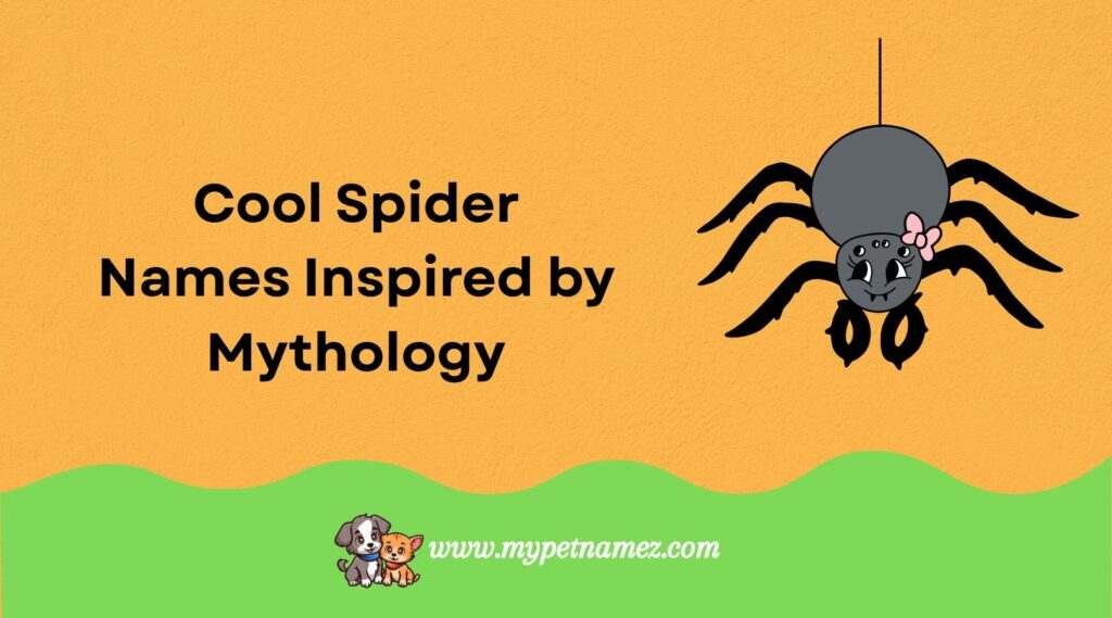 Cool Spider Names Inspired by Mythology