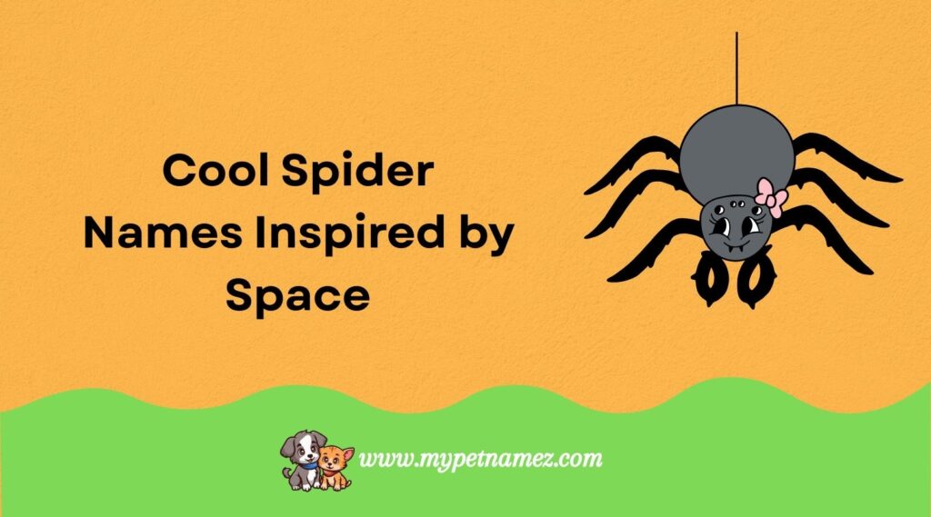 Cool Spider Names Inspired by Space