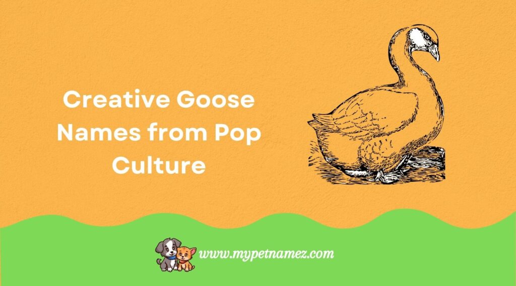 Creative Goose Names from Pop Culture