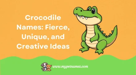 301 Crocodile Names: Fierce, Unique, and Creative Ideas