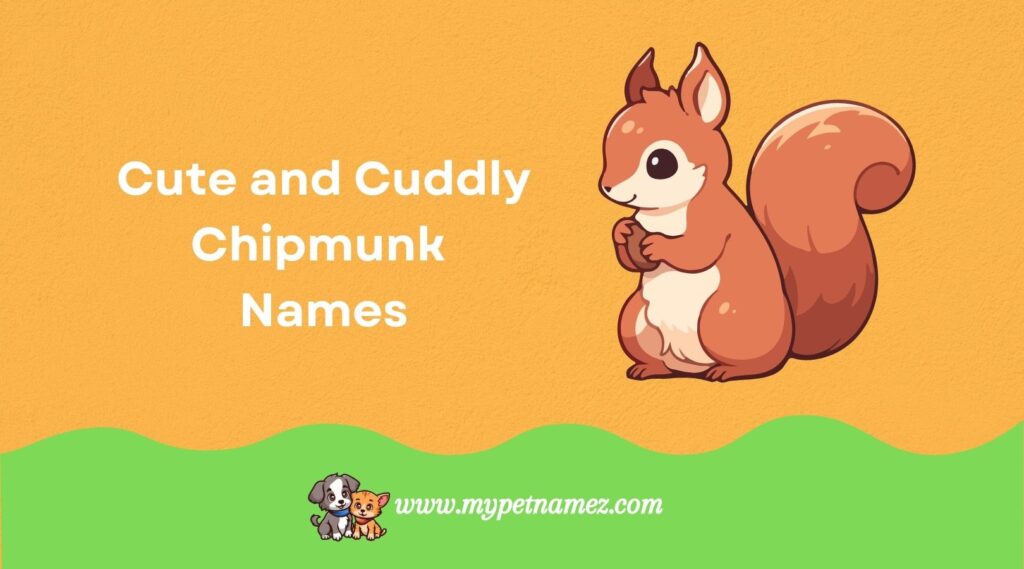 Cute and Cuddly Chipmunk Names