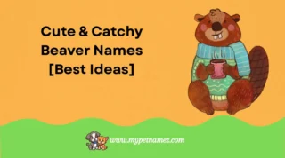 301 Cute & Catchy Beaver Names [Best Ideas]