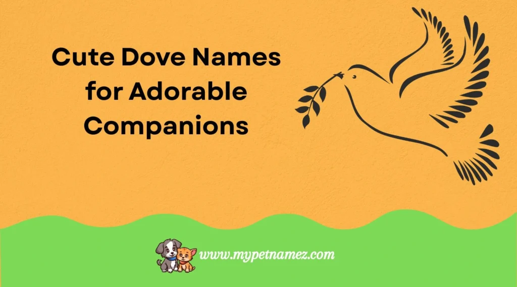Cute Dove Names for Adorable Companions