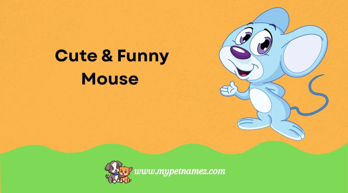301 Cute & Funny Mouse Names [Best Ideas]
