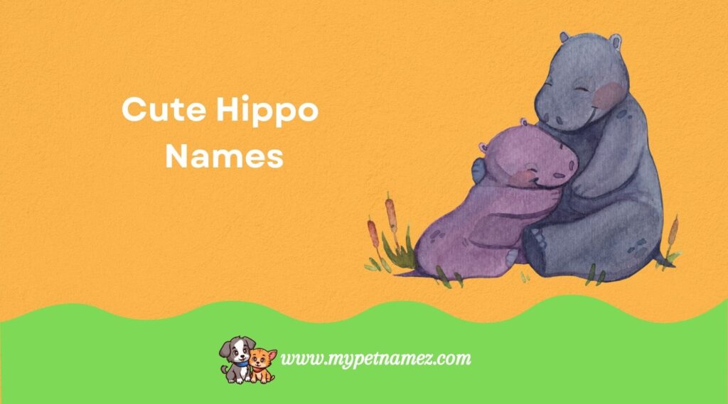 Cute Hippo Names