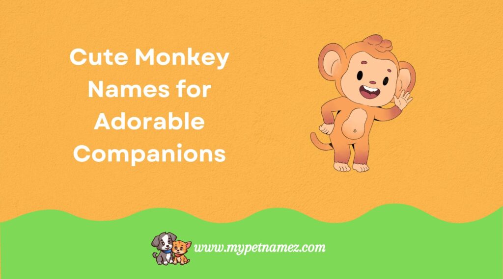 Cute Monkey Names for Adorable Companions