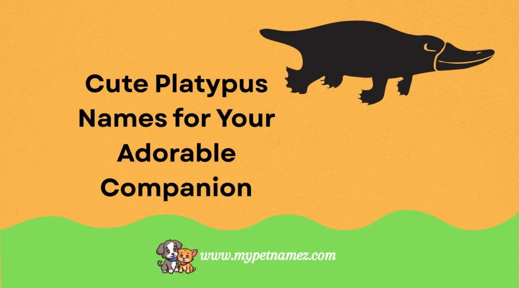 Cute Platypus Names for Your Adorable Companion