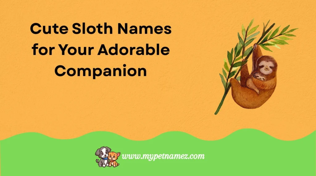 Cute Sloth Names for Your Adorable Companion